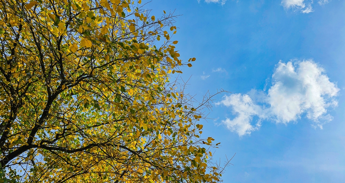 Бархатный сезон в Челябинской области: синоптики обрадовали прогнозом Бархатный сезон в Челябинской области: синоптики обрадовали прогнозом