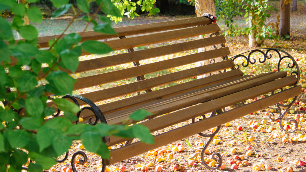 Первые осенние заморозки ожидаются в Челябинской области