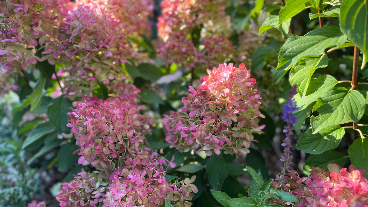 До 19°C повысится температура в Челябинской области: прогноз на 14 сентября До 19°C повысится температура в Челябинской области: прогноз на 14 сентября