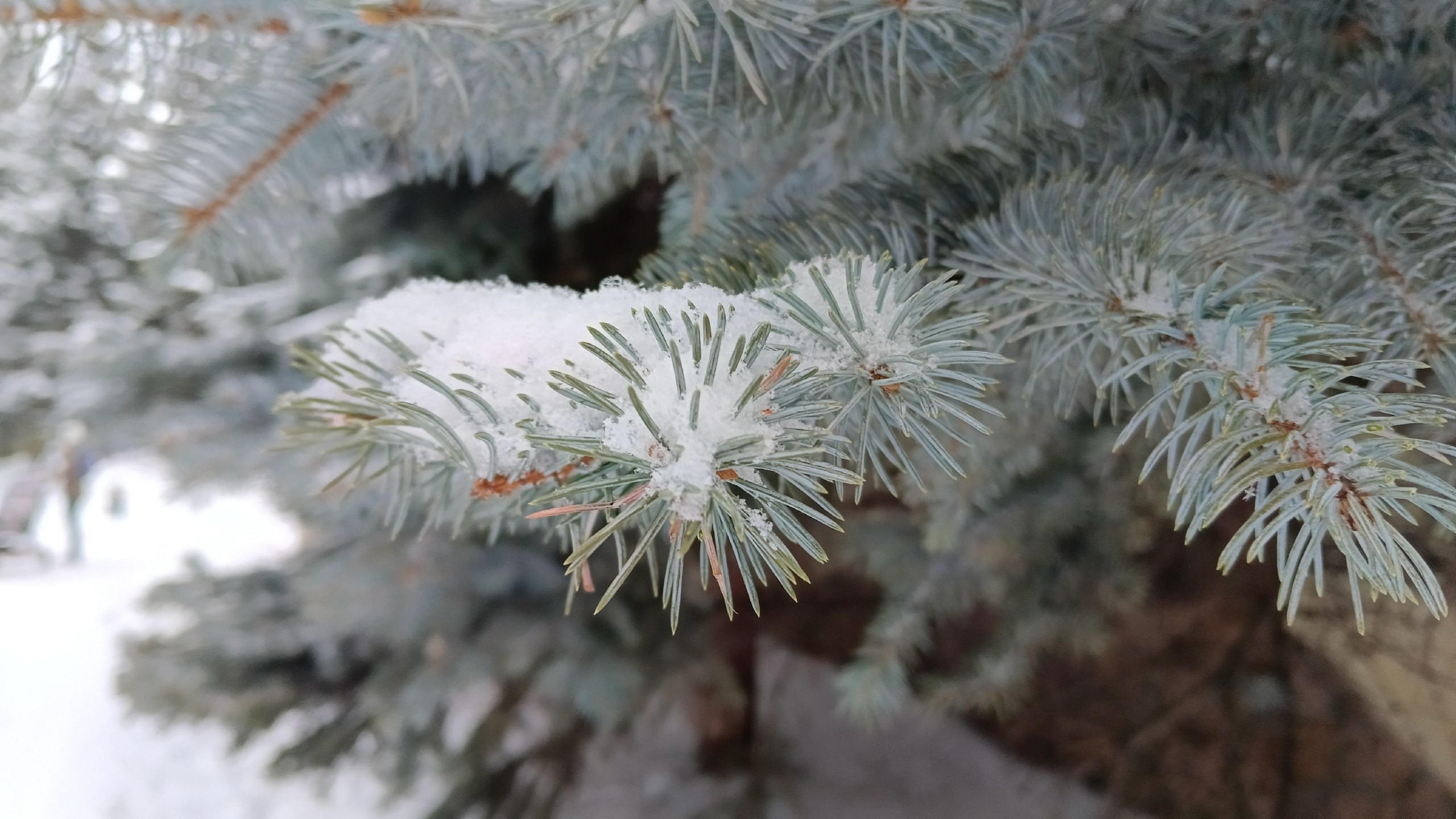 Зимний сентябрь: как жители Челябинской области пережили непогоду