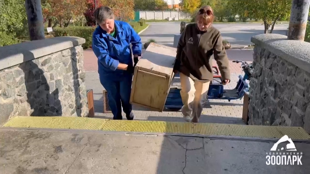 В Челябинском зоопарке теплолюбивые животные переехали в зимние вольеры