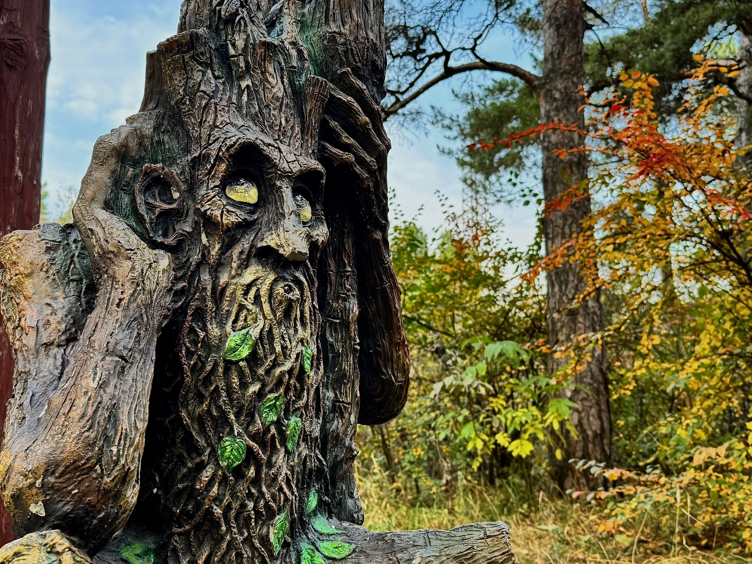 Осенние маршруты: гид по лучшим местам для прогулок в Челябинске