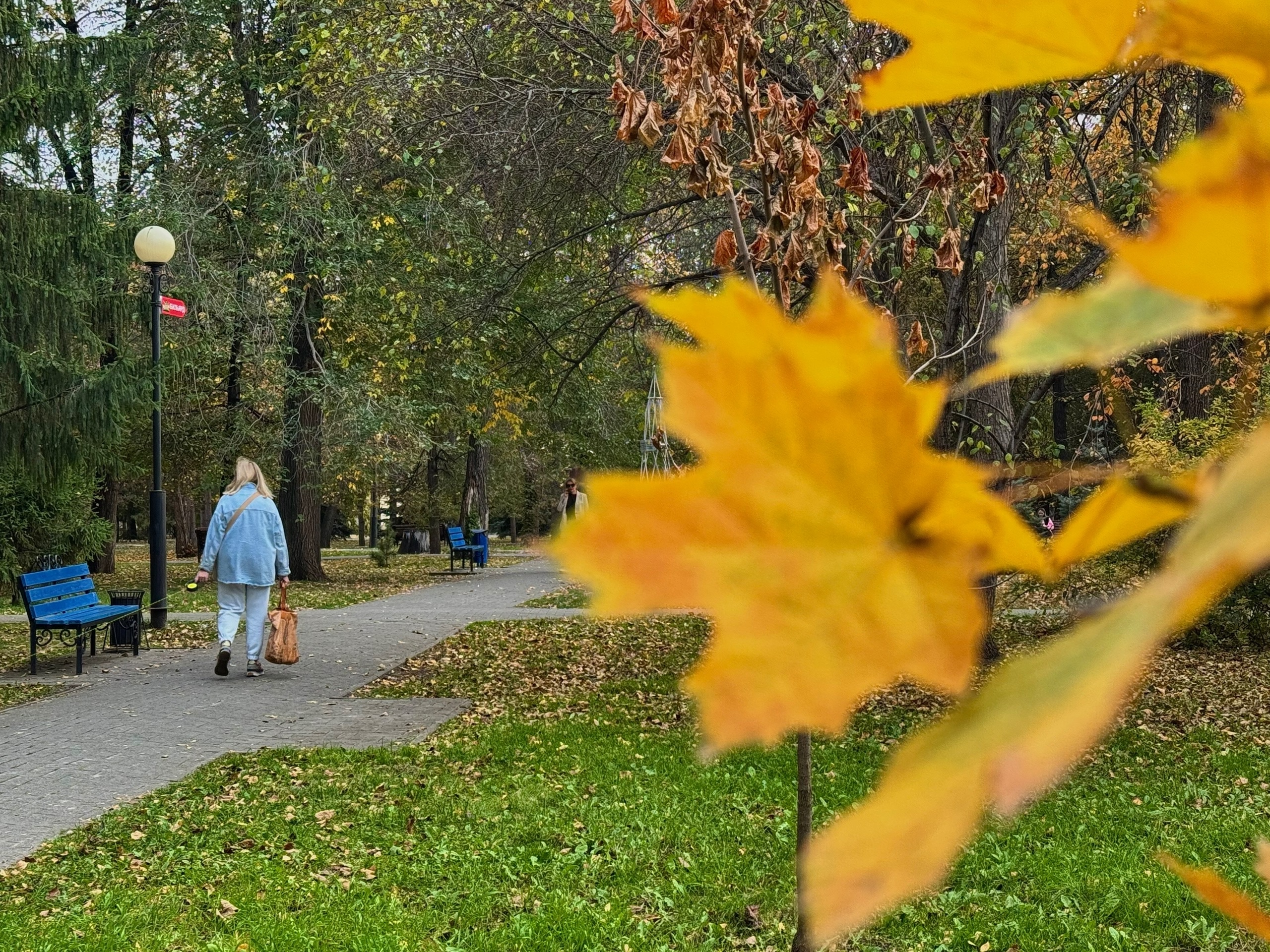 Осенние маршруты: гид по лучшим местам для прогулок в Челябинске