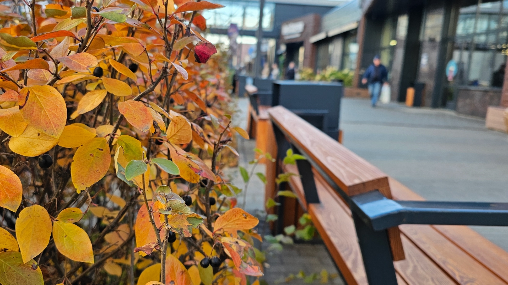О резком похолодании предупреждает синоптик жителей Челябинской области