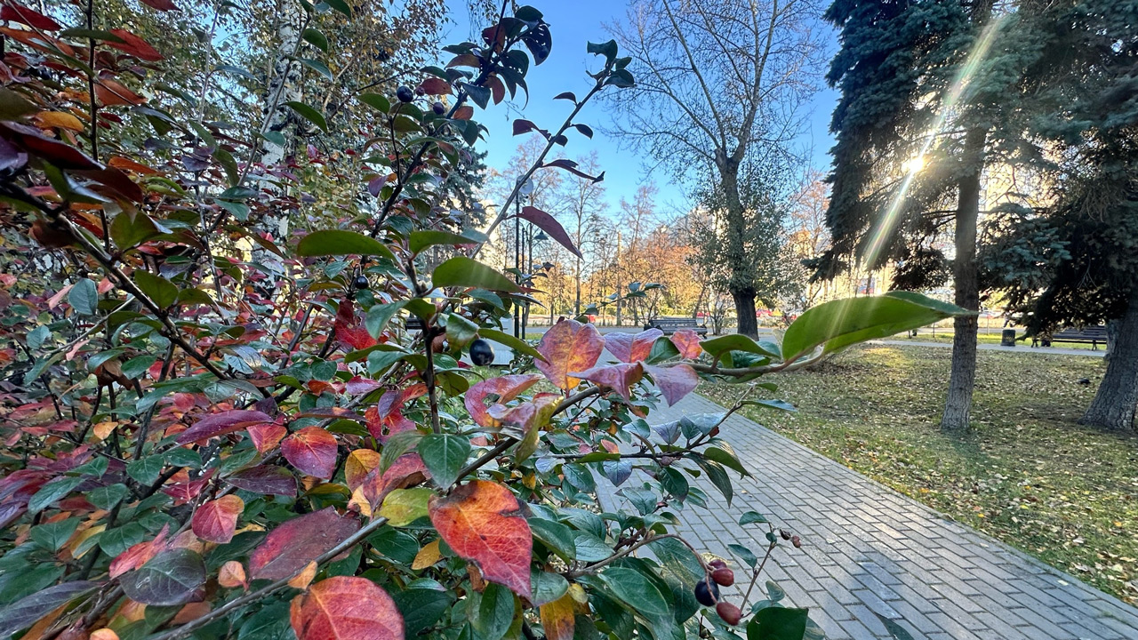 Антициклон повысит температуру до 15°C в Челябинской области