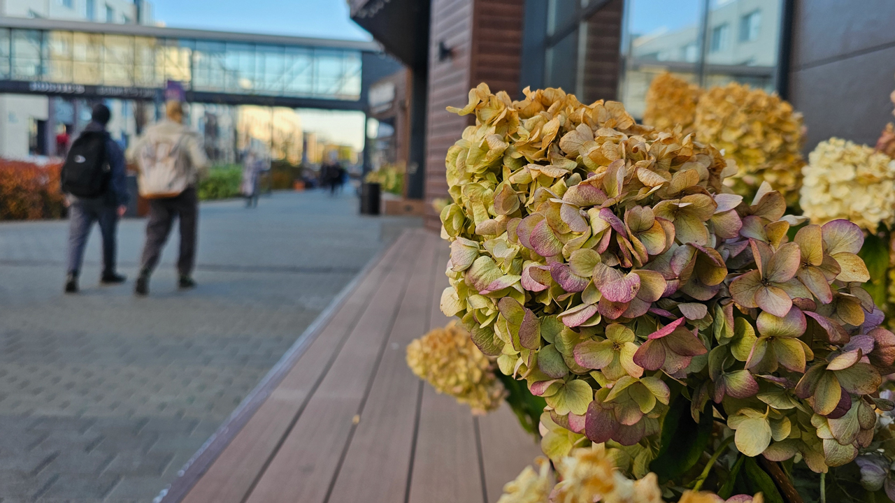 Глубокая осень: прогноз погоды на неделю в Челябинской области Глубокая осень: прогноз погоды на неделю в Челябинской области