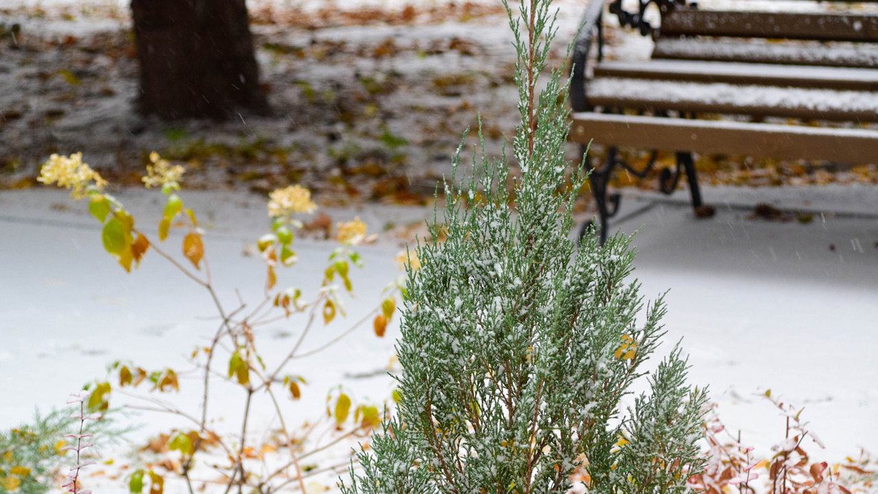 В Челябинске готовятся к снегопадам и гололедице в начале ноября