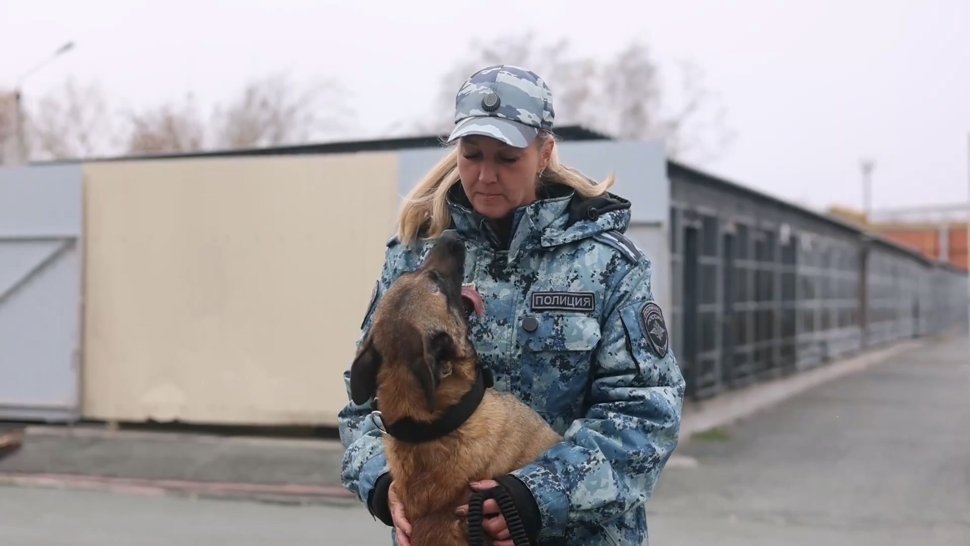 Лучшая собака России по поиску взрывчатки живет в Челябинске