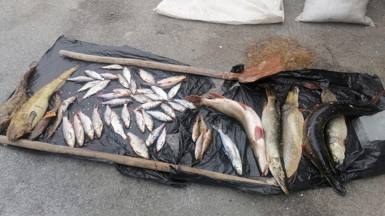 Браконьера задержали в национальном парке Челябинской области Браконьера задержали в национальном парке Челябинской области