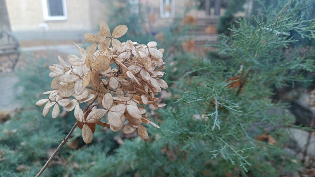 Челябинские синоптики рассказали о погоде в День матери