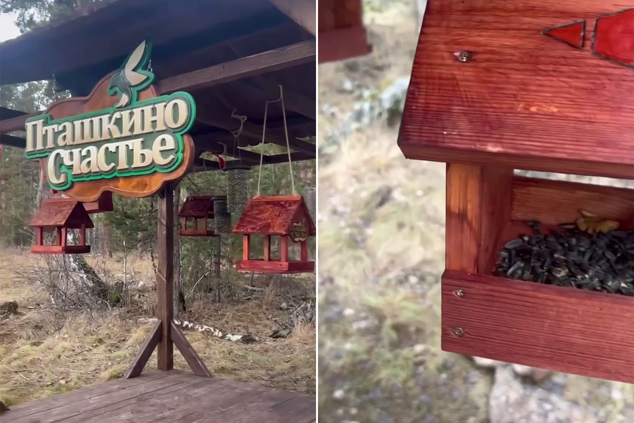 Пташкино счастье: птичью столовую открыли в городском бору Челябинска