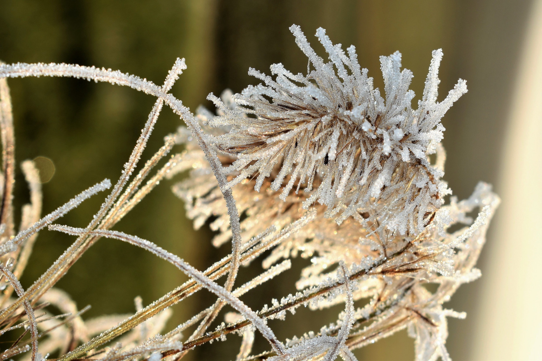 Штормовое предупреждение в Челябинской области: важная информация для жителей региона