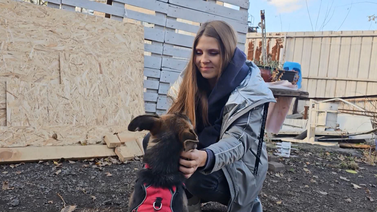 Для спасенного в Челябинске щенка ищут новую семью