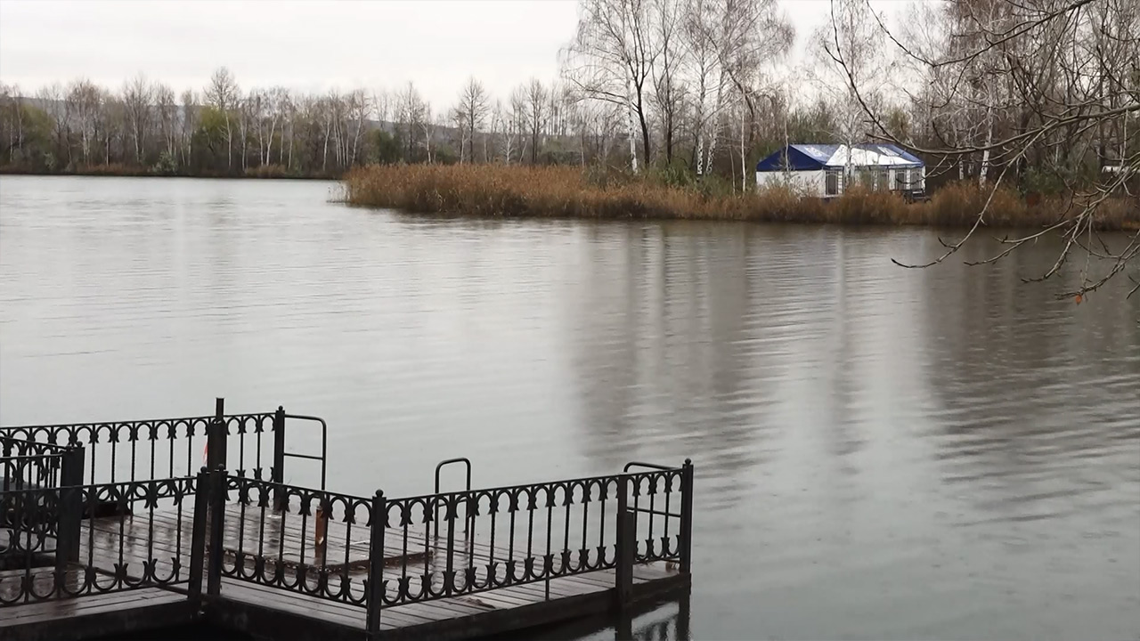 В Заводской пруд Магнитогорска выпустили 50 тысяч мальков сазана