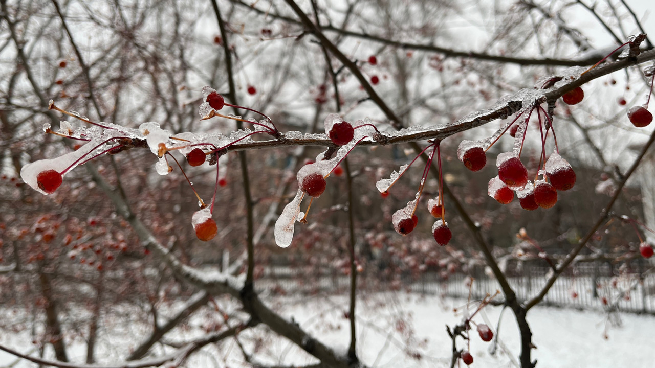 Арктический холод сменится теплом: какая погода ждет жителей Челябинска