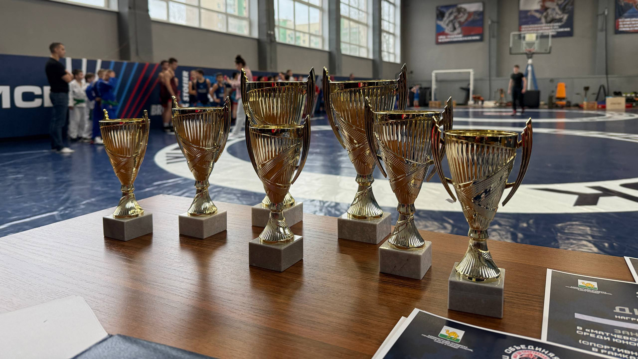 Матчевая встреча юных самбистов, дзюдоистов и борцов прошла в Челябинске