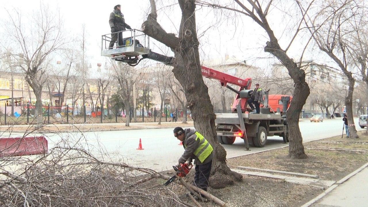 В Магнитогорске санитарная обрезка деревьев из-за теплой погоды продолжится в декабре