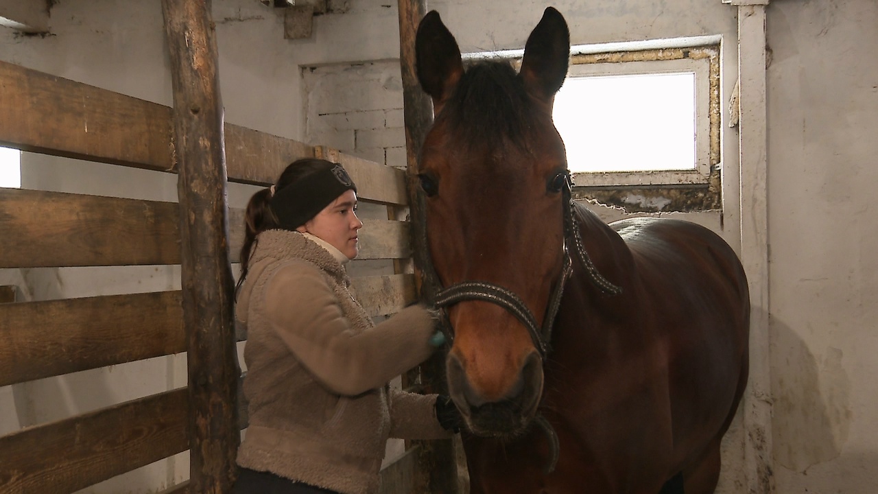 Спокойным шагом или резвым галопом: что ждать от хозяйки 2026 года