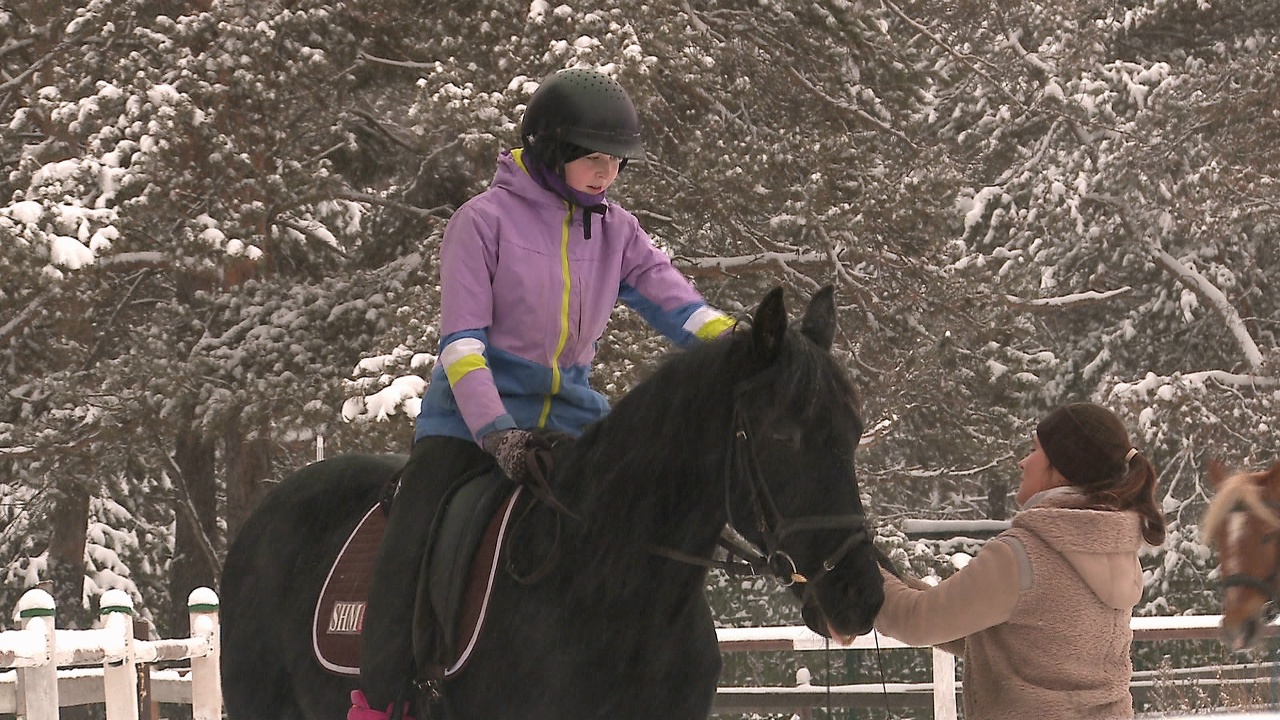 Спокойным шагом или резвым галопом: что ждать от хозяйки 2026 года