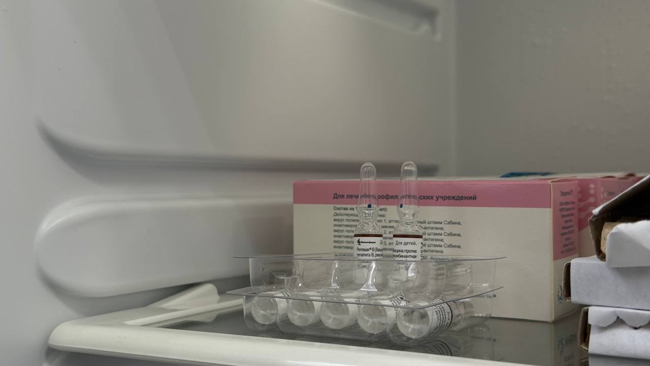 Прививочная кампания завершается в Челябинской области: как обезопаситься от гриппа