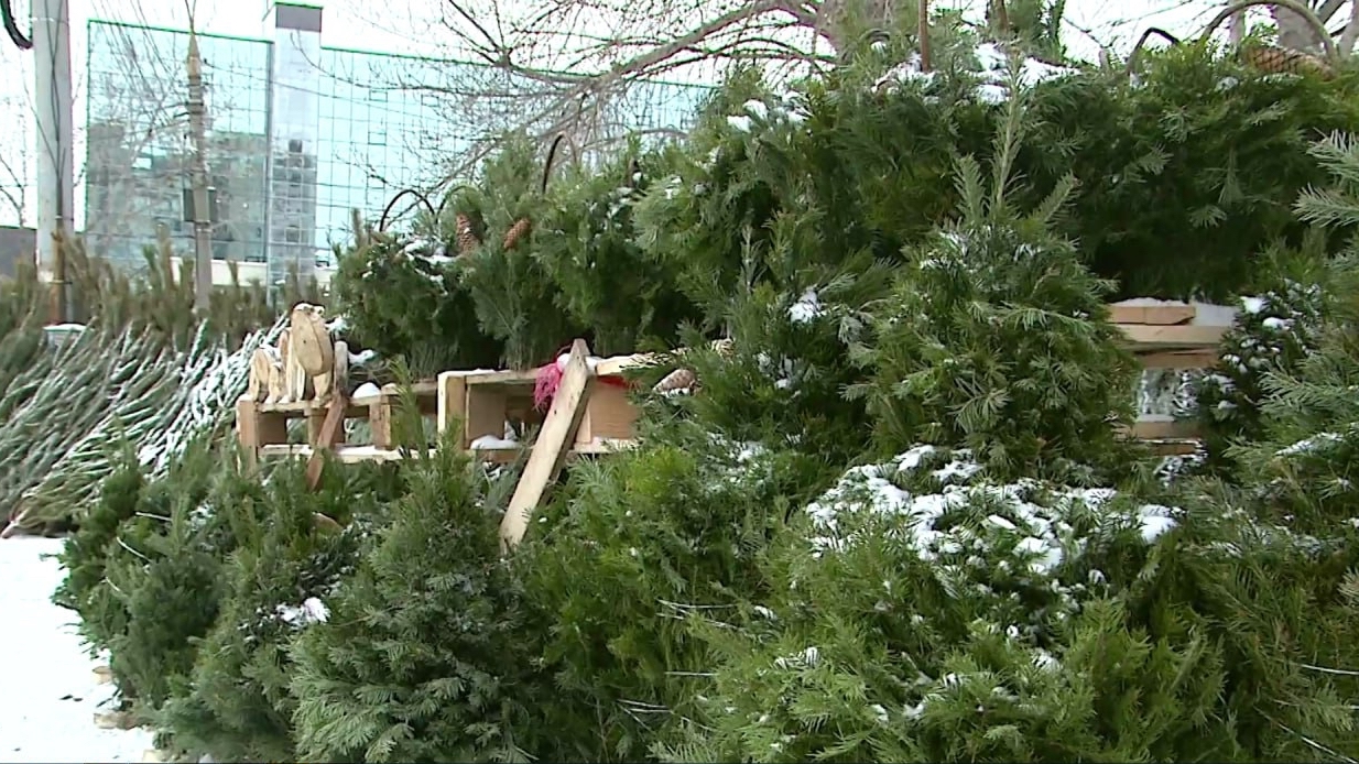 Штрафы и изъятая продукция: нелегальные елочные базары проверяют в Челябинске