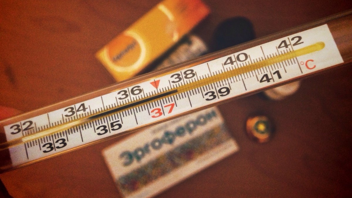 Свиной и гонконгский грипп: как различить - симптомы болезни Свиной и гонконгский грипп: как различить - симптомы болезни