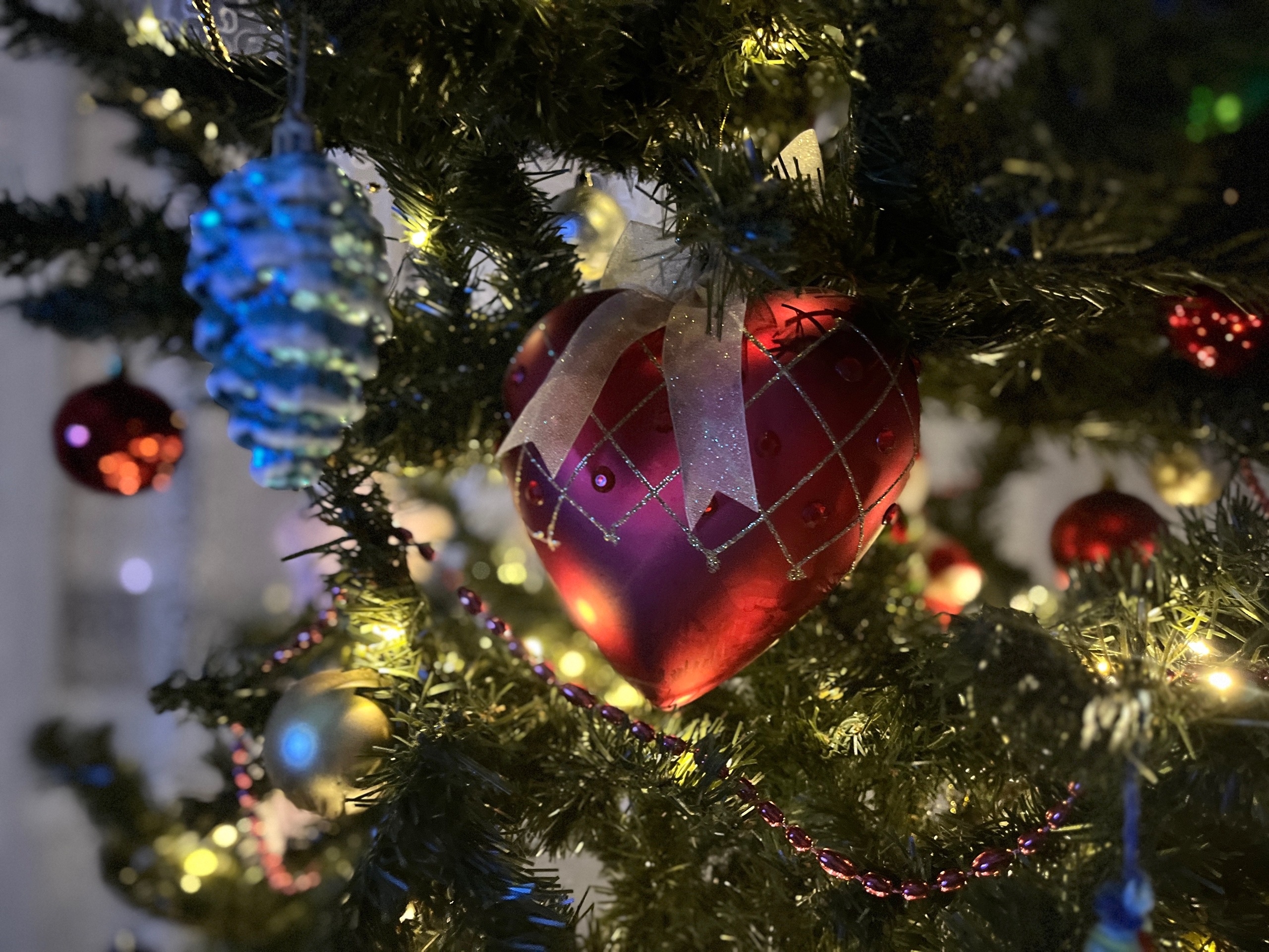 Живая или искусственная: как выбрать елку на Новый год