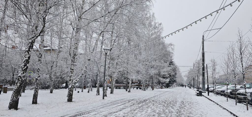Метели и гололедицу прогнозируют в Челябинской области