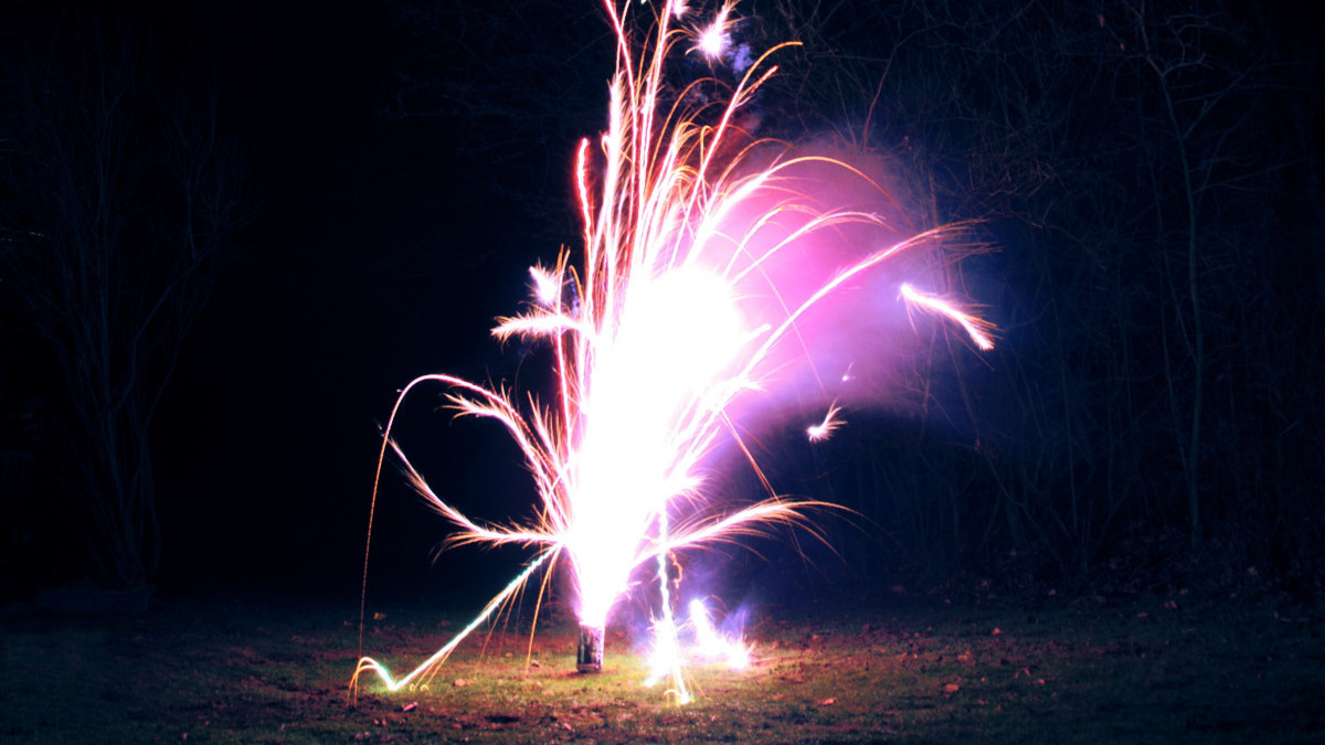 В Миассе подростки взорвали петардой кормушку для птиц