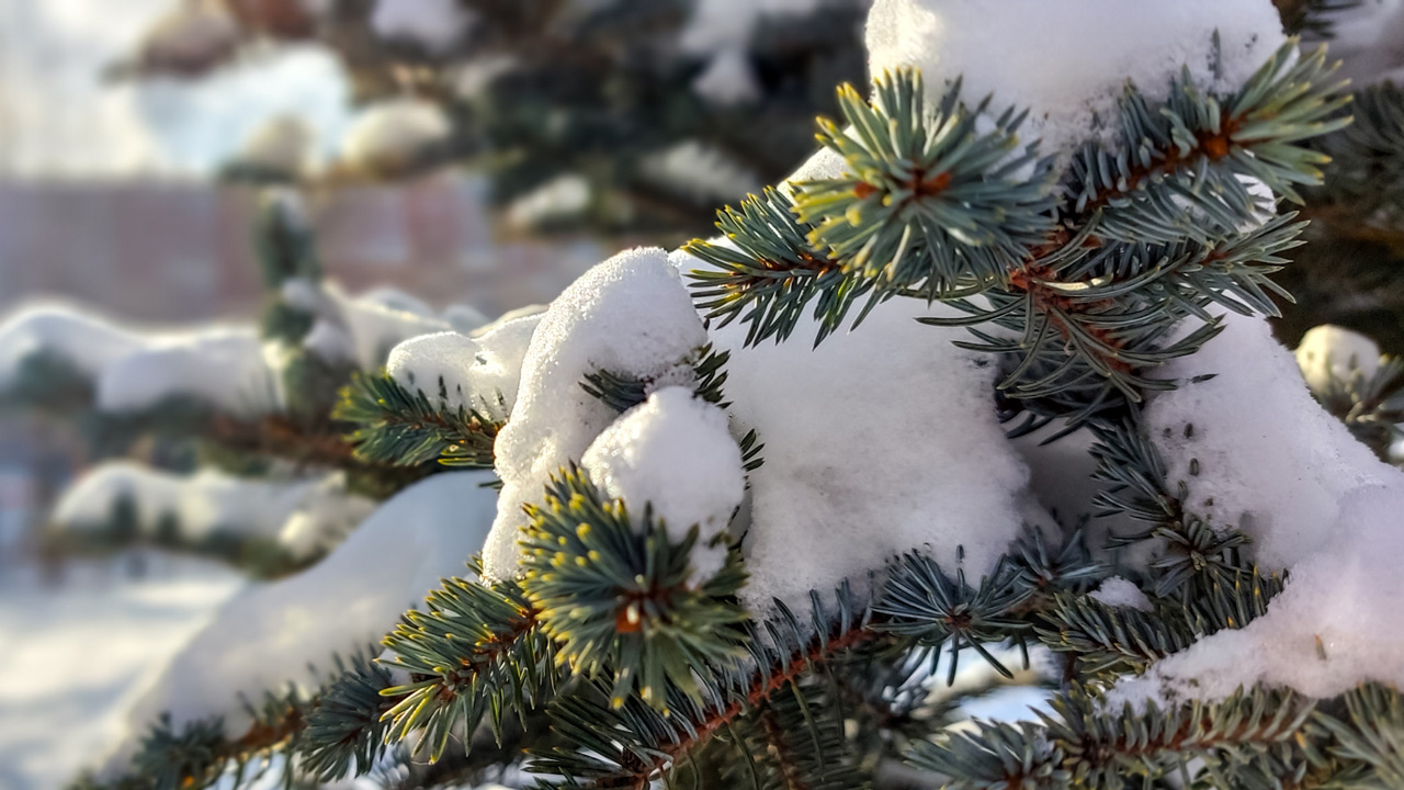 Крепкие морозы отступают: прогноз погоды в Челябинской области Крепкие морозы отступают: прогноз погоды в Челябинской области