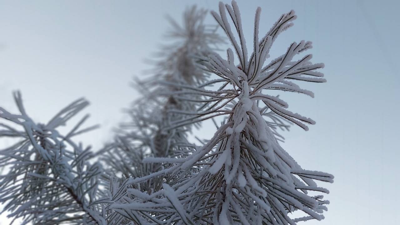 Сюрпризы декабрьской погоды: на Южном Урале потепление резко сменится морозами Сюрпризы декабрьской погоды: на Южном Урале потепление резко сменится морозами
