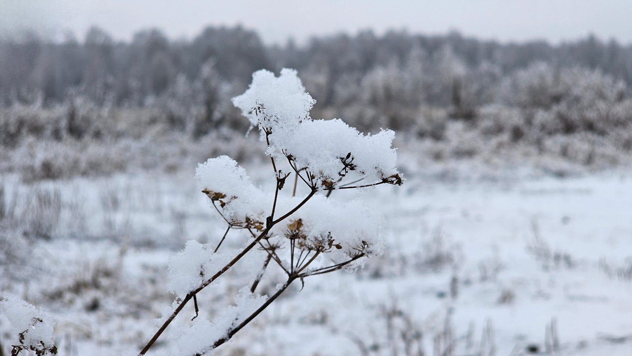 Снежные выходные ждут жителей Челябинской области Снежные выходные ждут жителей Челябинской области