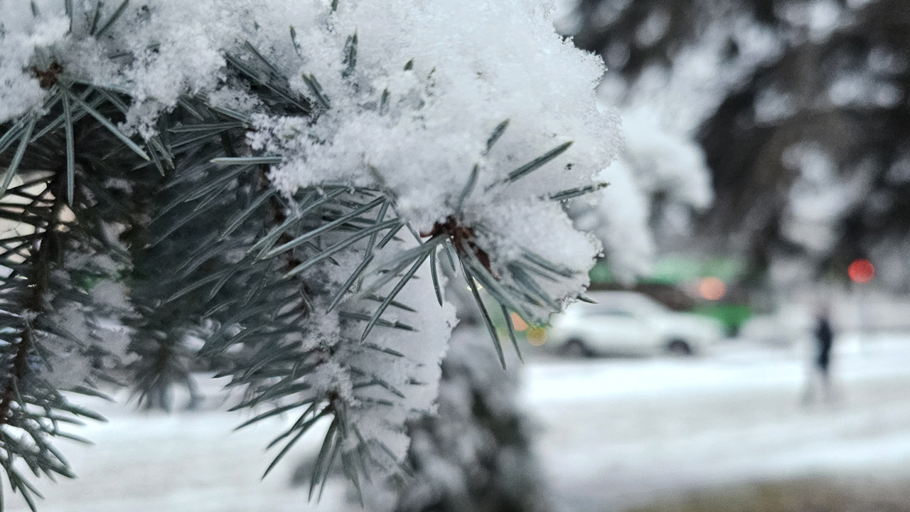 Снегопады накроют Челябинскую область: прогноз на 28 и 29 декабря Снегопады накроют Челябинскую область: прогноз на 28 и 29 декабря