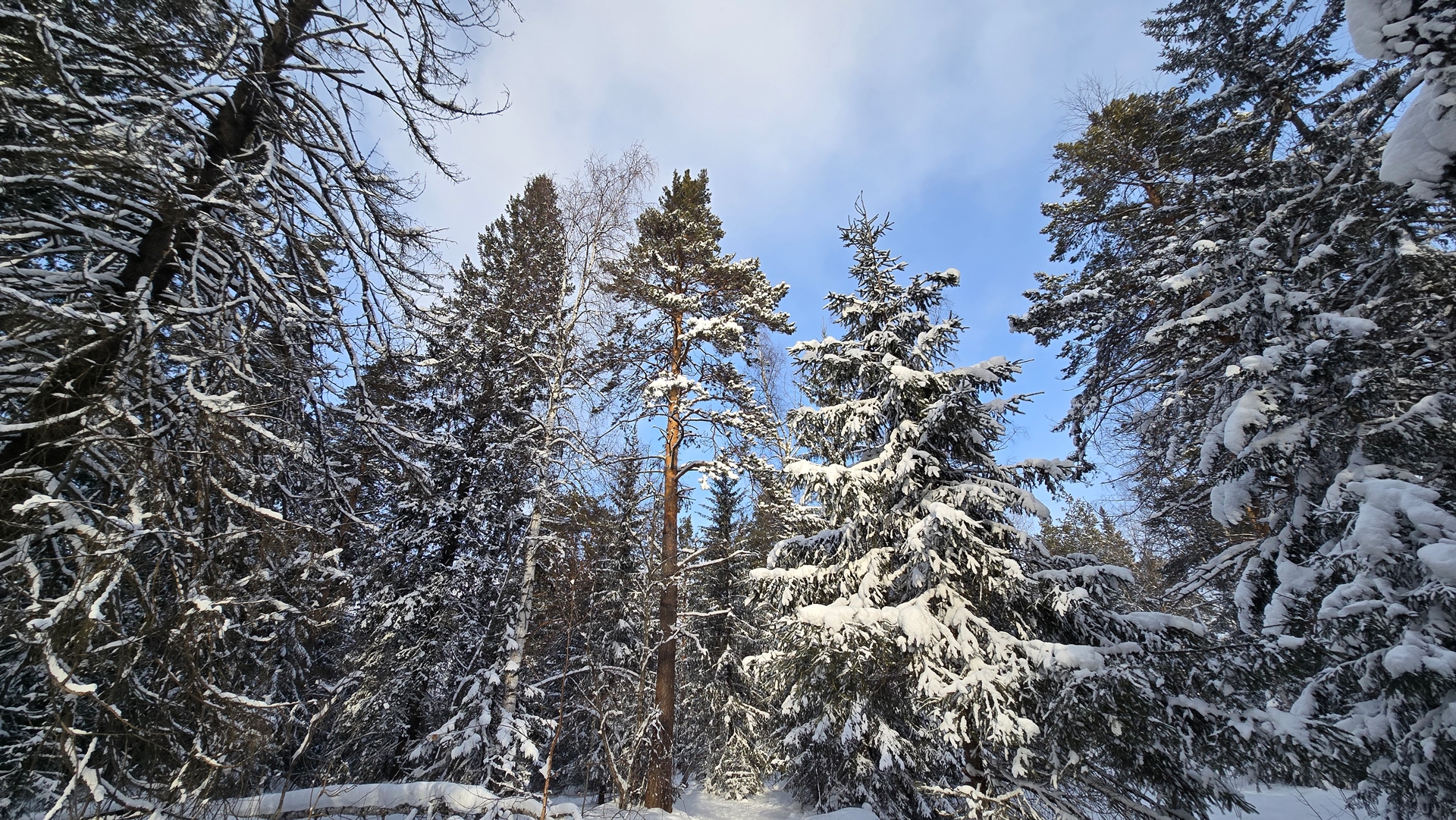 Штормовое предупреждение в Челябинской области: сколько продлится непогода