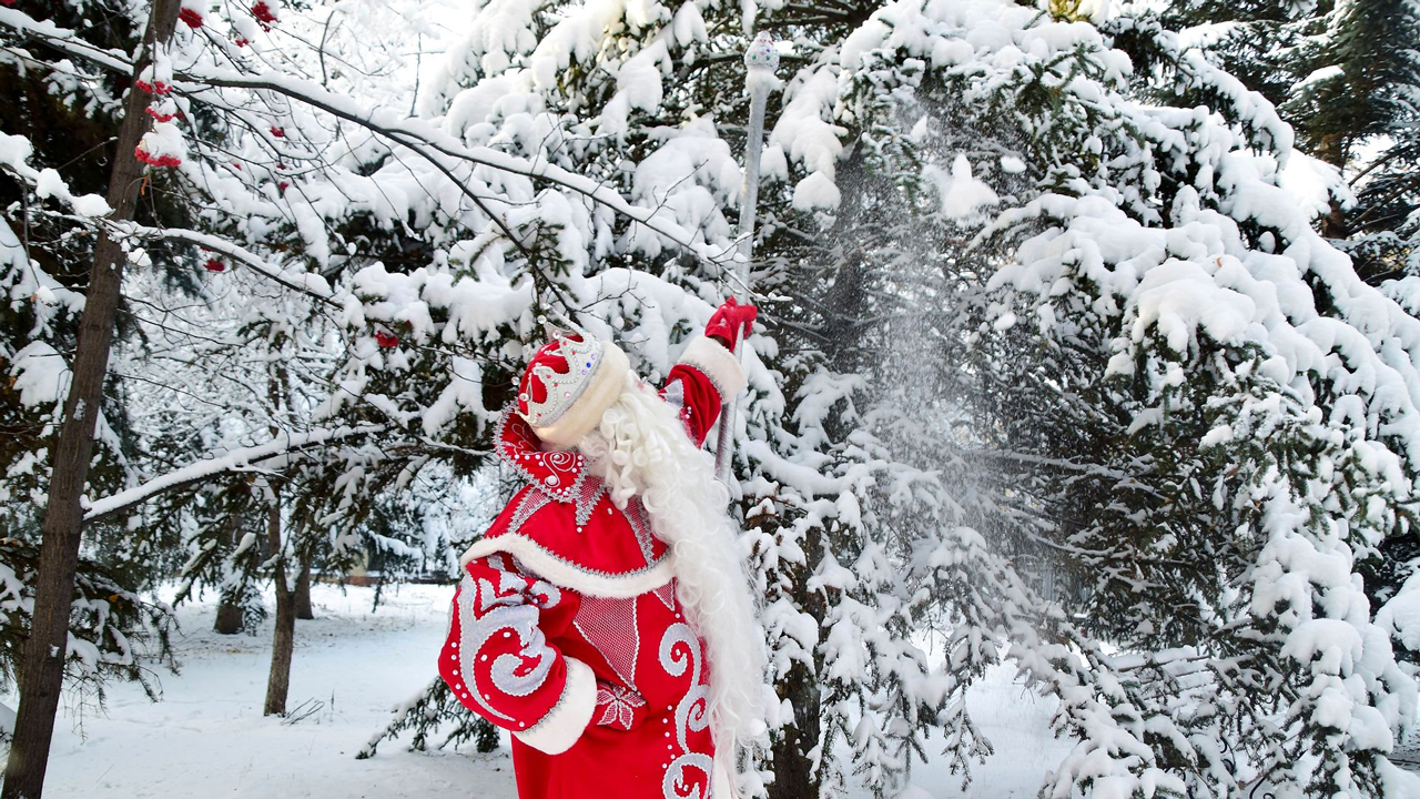 Забег Дедов Морозов пройдет в Челябинской области Забег Дедов Морозов пройдет в Челябинской области