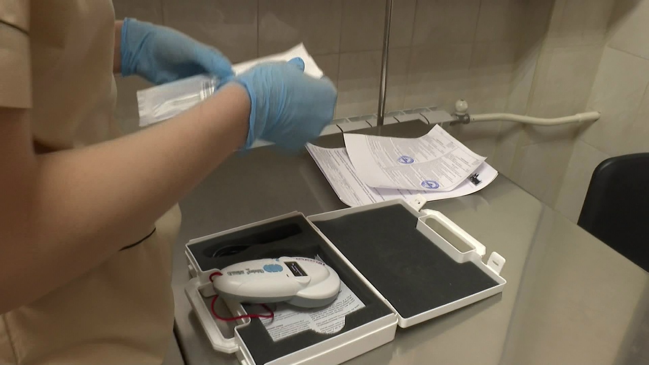 Первые чипы собакам начали вживлять в Челябинской области