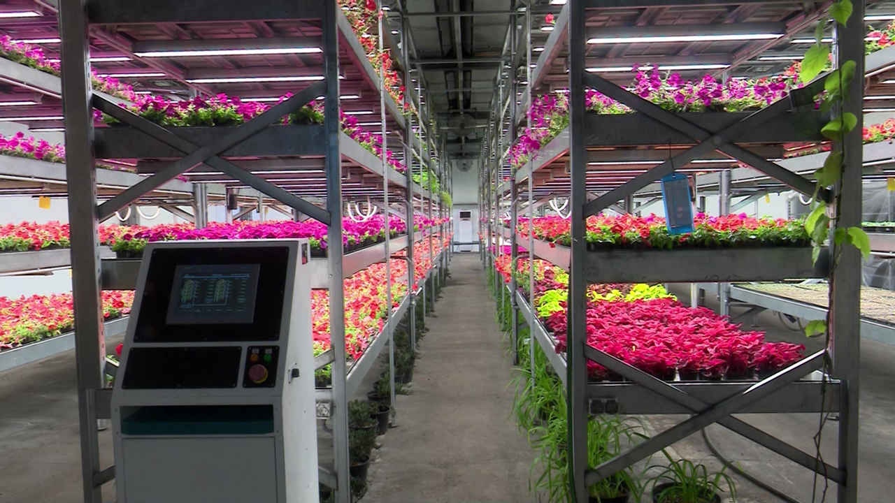 Челябинская область — в лидерах экологического рейтинга: какие проекты реализует регион Челябинская область — в лидерах экологического рейтинга: какие проекты реализует регион