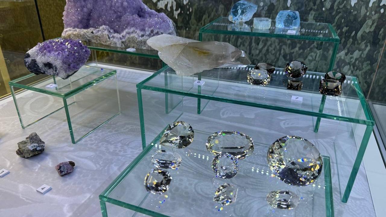 Дети с ОВЗ смогут посещать занятия в Историческом музее Челябинска