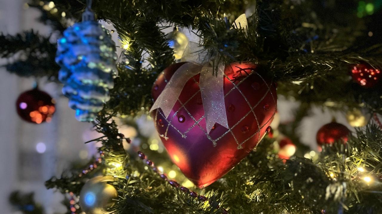 Магия новогоднего дерева: приметы о том, в какой день лучше всего убирать елку