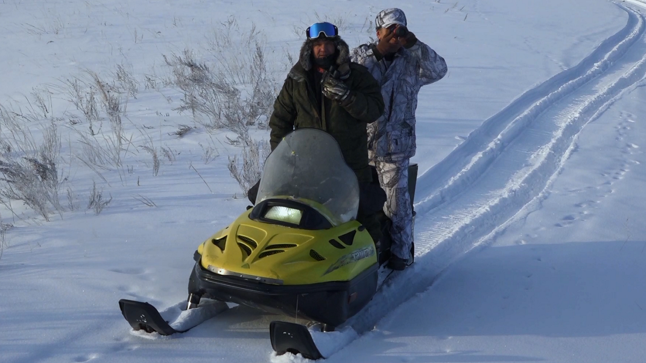 Зимняя перепись животных и птиц проходит в Челябинской области Зимняя перепись животных и птиц проходит в Челябинской области