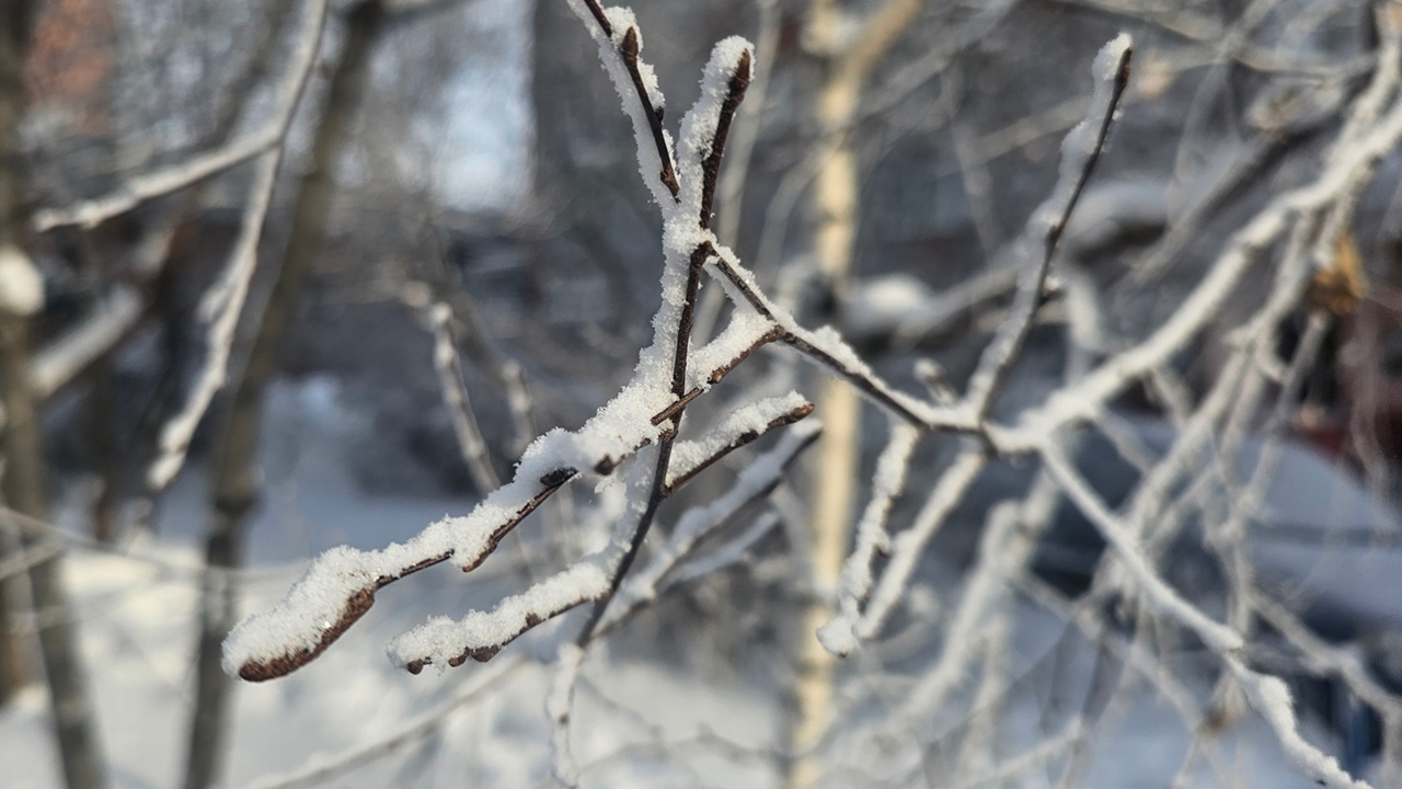 Экстремальные морозы до -40°C ожидаются в Челябинской области Экстремальные морозы до -40°C ожидаются в Челябинской области