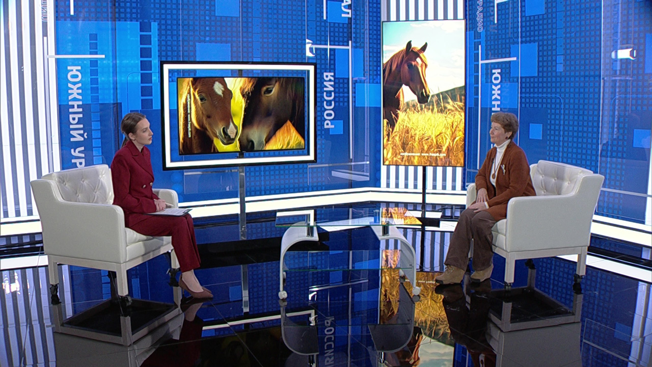 Энергия, харизма, доброта: говорим о символе 2026 года — лошади