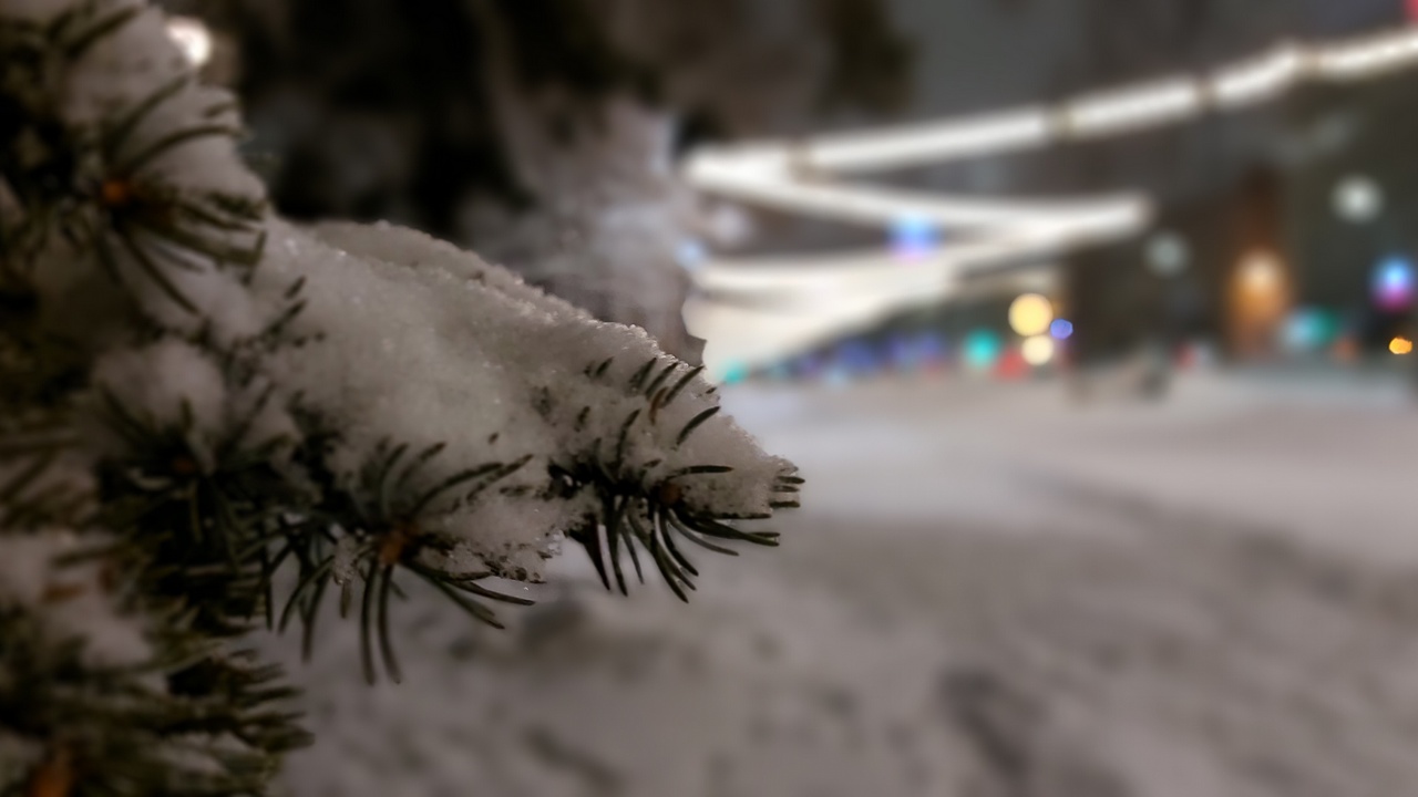 Изумительную погоду на Рождество пообещали жителям Челябинска Изумительную погоду на Рождество пообещали жителям Челябинска