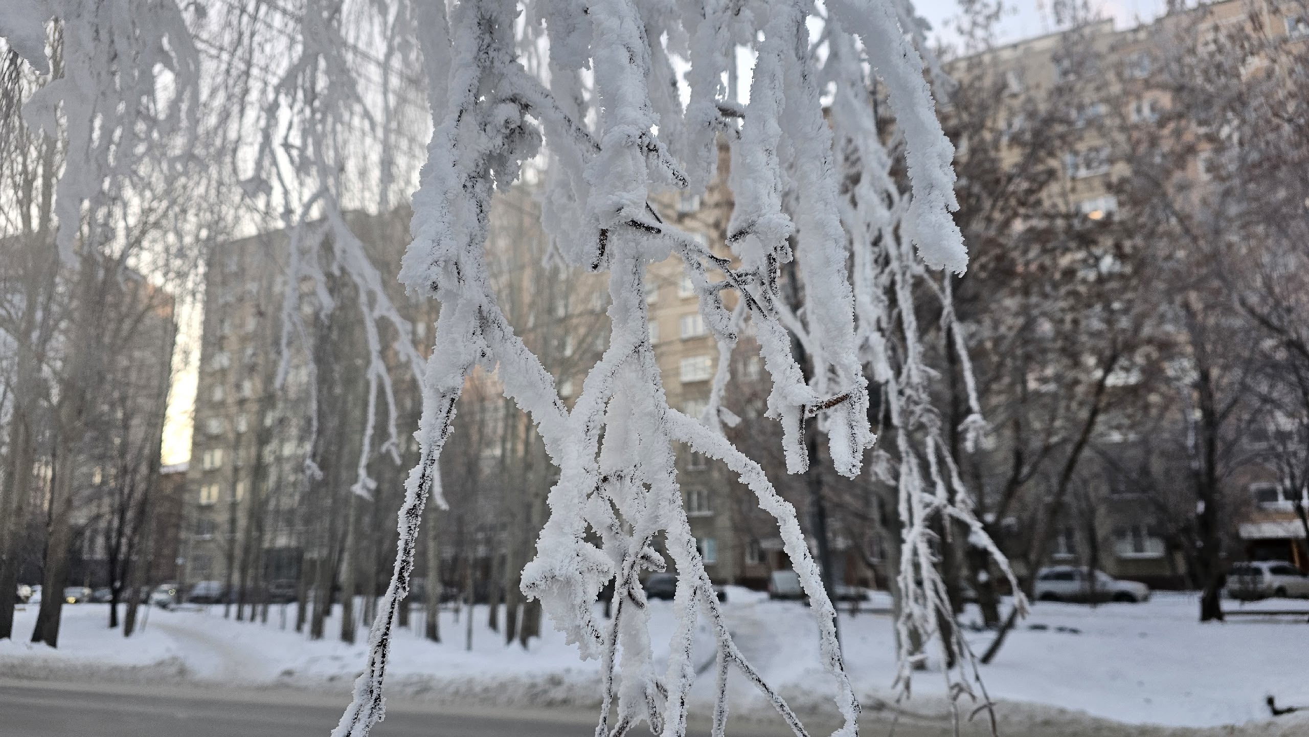 Отмена занятий в школах Челябинска: кто останется дома 16 января