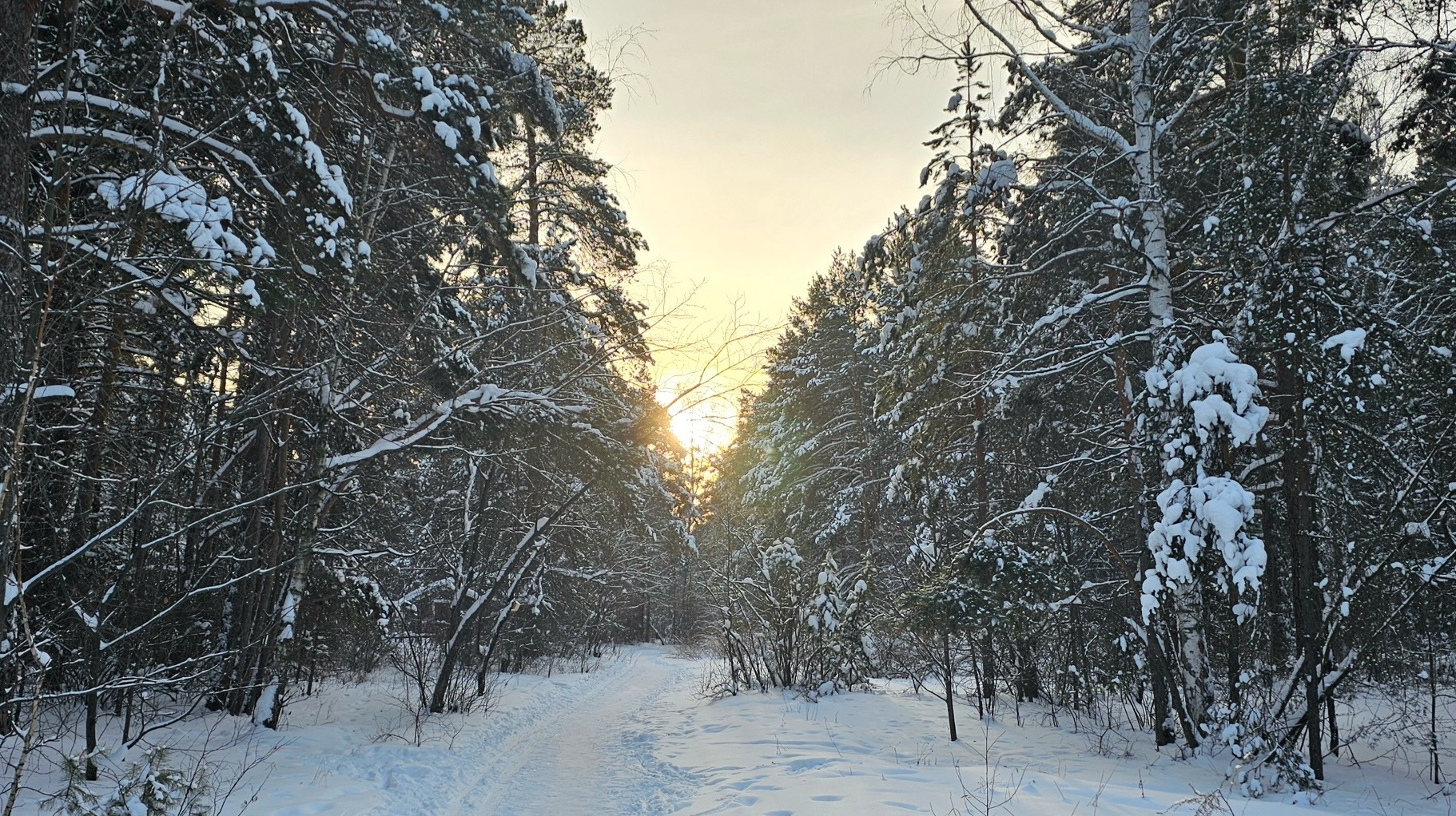 Синоптики озвучили прогноз погоды в Челябинской области на первую рабочую неделю