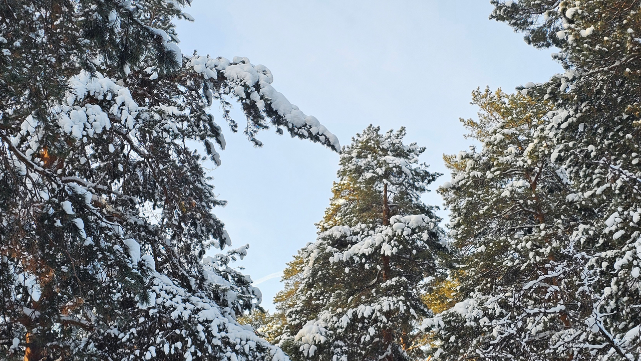Желтый уровень опасности: прогноз погоды на 6 января в Челябинской области Желтый уровень опасности: прогноз погоды на 6 января в Челябинской области
