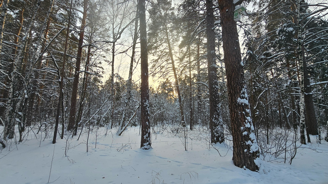 Снег и повышение температуры до -1°C прогнозируют в Челябинской области
