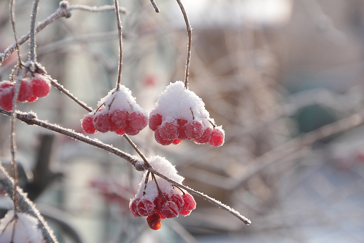 Похолодание надвигается на Челябинскую область Похолодание надвигается на Челябинскую область