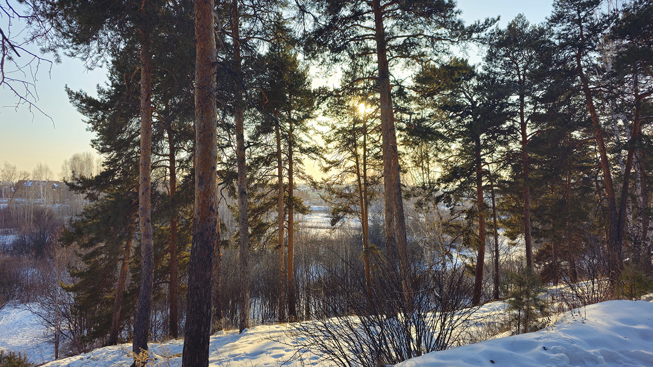 Синоптики дали прогноз погоды на февраль в Челябинской области