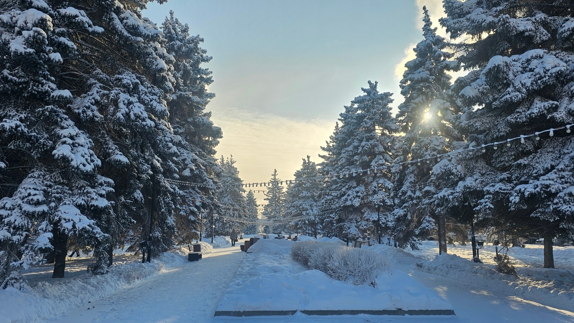 Отмена занятий в школах Челябинска 23 января: морозы оставили детей без уроков